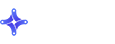 Flare Logo ReverseWEB